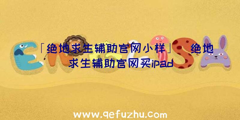 「绝地求生辅助官网小样」|绝地求生辅助官网买ipad